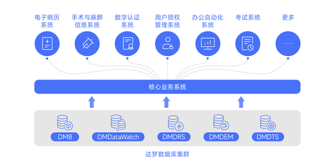 达梦数据助力厦门大学附属成功医院核心业务系统信创改造 — 打造国产数据库服务新模式